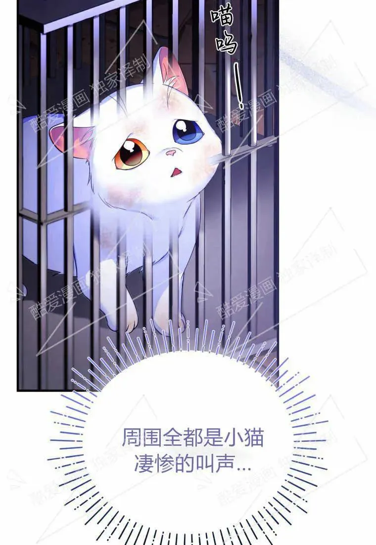 成为苏尔坦珍爱的猫咪漫画免费观看漫画,第02话5图