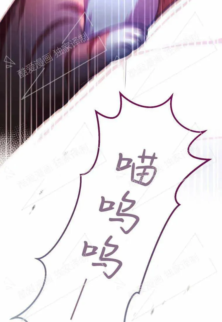 成为苏尔坦珍爱的猫咪漫画免费观看漫画,第02话5图