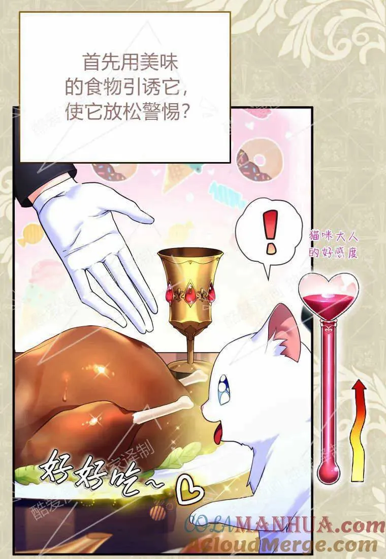 成为苏尔坦珍爱的猫咪在线观看漫画,第04话5图