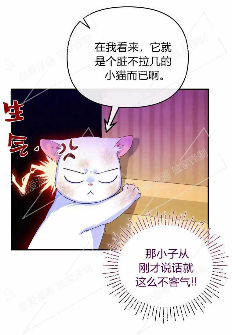 成为苏尔坦珍爱的猫咪在线观看漫画,第03话1图