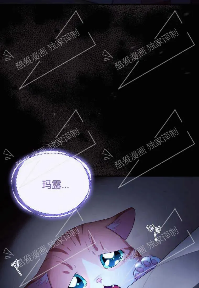 成为苏尔坦珍爱的猫咪漫画免费观看漫画,第02话2图