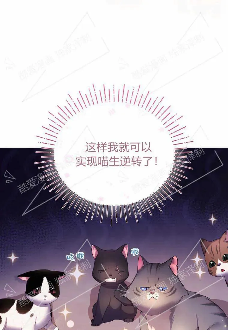 成为苏尔坦珍爱的猫咪漫画免费观看漫画,第02话5图