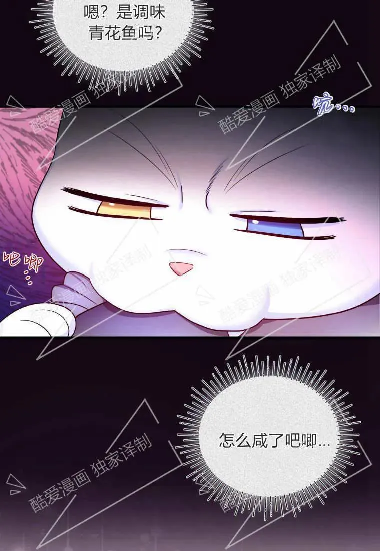 成为苏尔坦珍爱的猫咪在线观看漫画,第07话5图