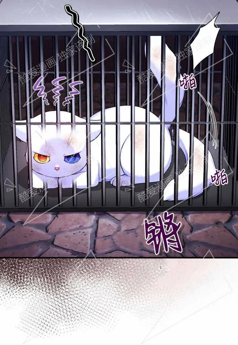 成为苏尔坦珍爱的猫咪漫画免费观看漫画,第02话5图