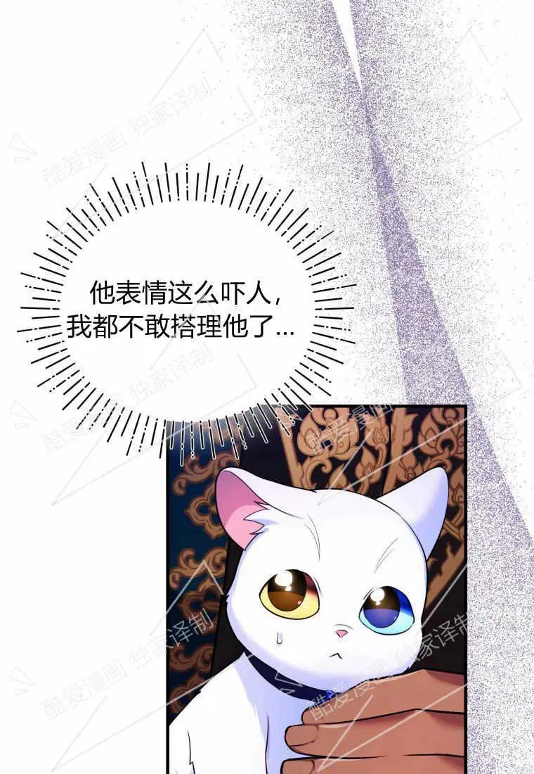 成为苏尔坦珍爱的猫咪漫画,第10话3图