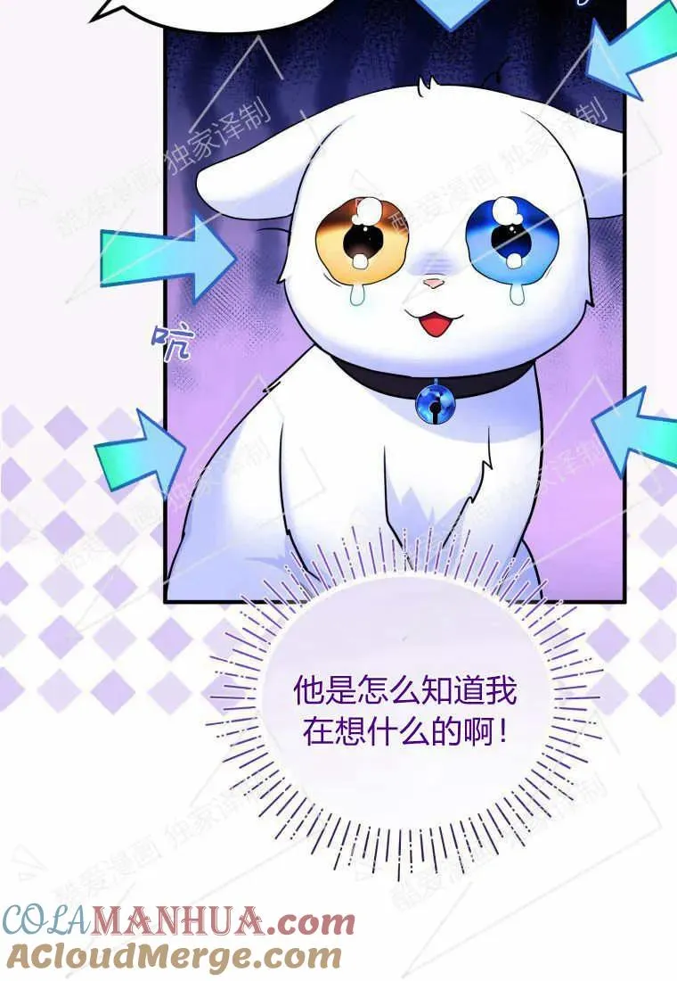 成为苏尔坦珍爱的猫咪在线观看漫画,第07话3图