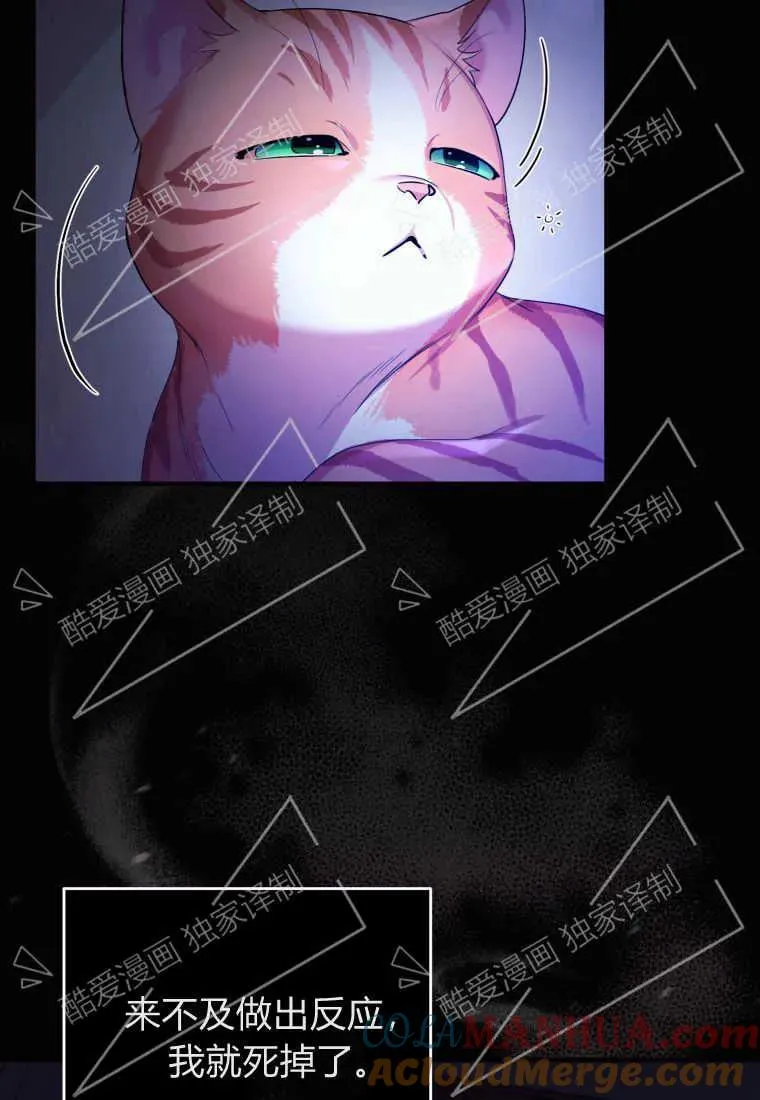 成为苏尔坦珍爱的猫咪漫画免费观看漫画,第02话5图