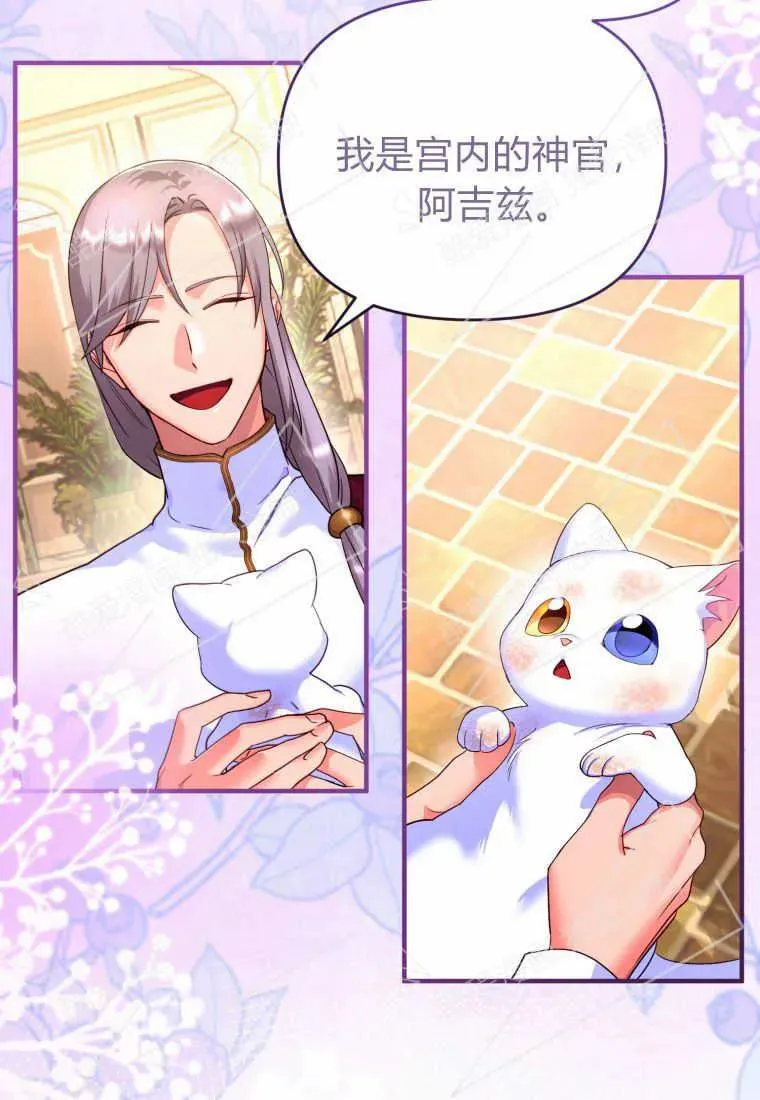 成为苏尔坦珍爱的猫咪在线观看漫画,第03话2图