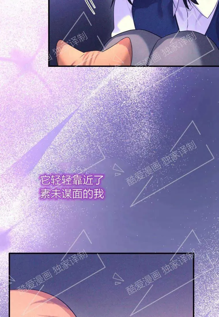 成为苏尔坦珍爱的猫咪在线观看漫画,第03话4图