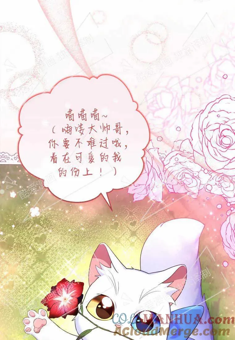 成为猫咪的小说漫画,第08话5图