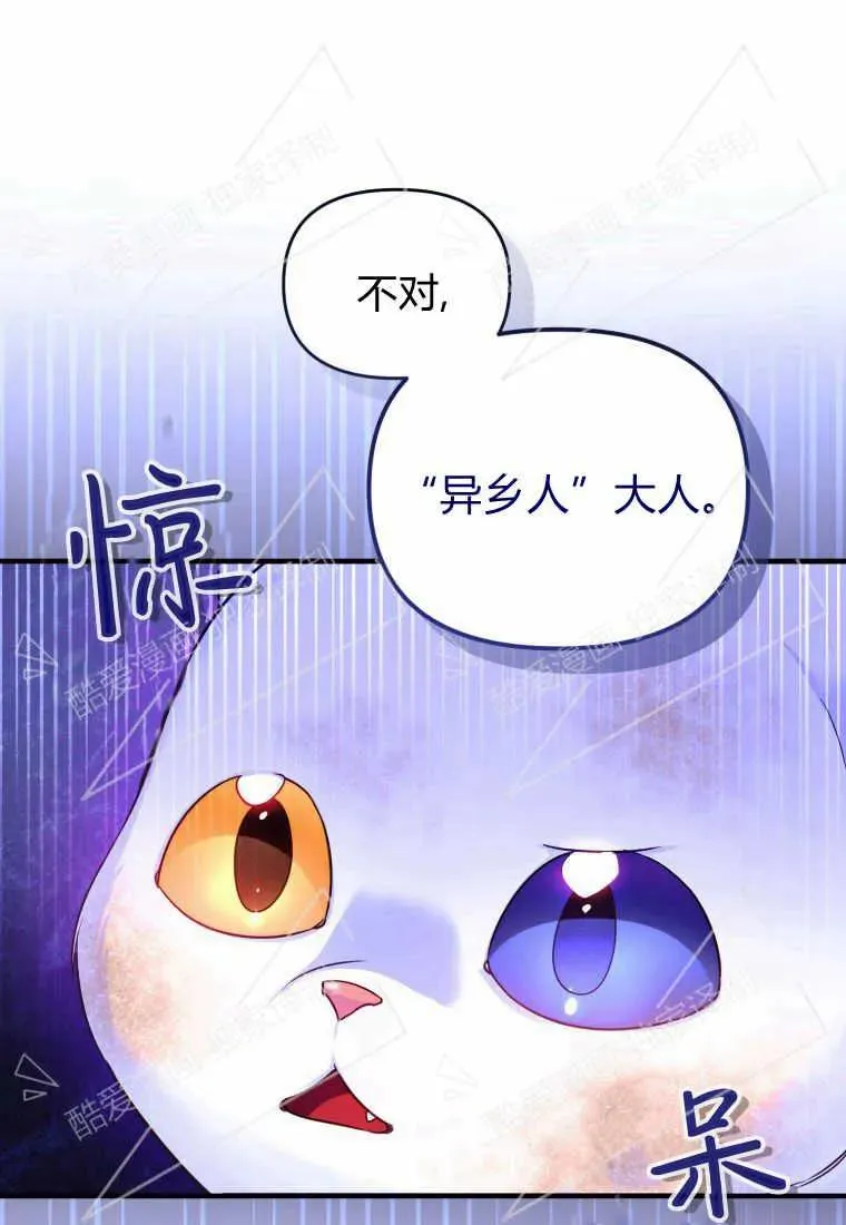 成为苏尔坦珍爱的猫咪在线观看漫画,第03话5图