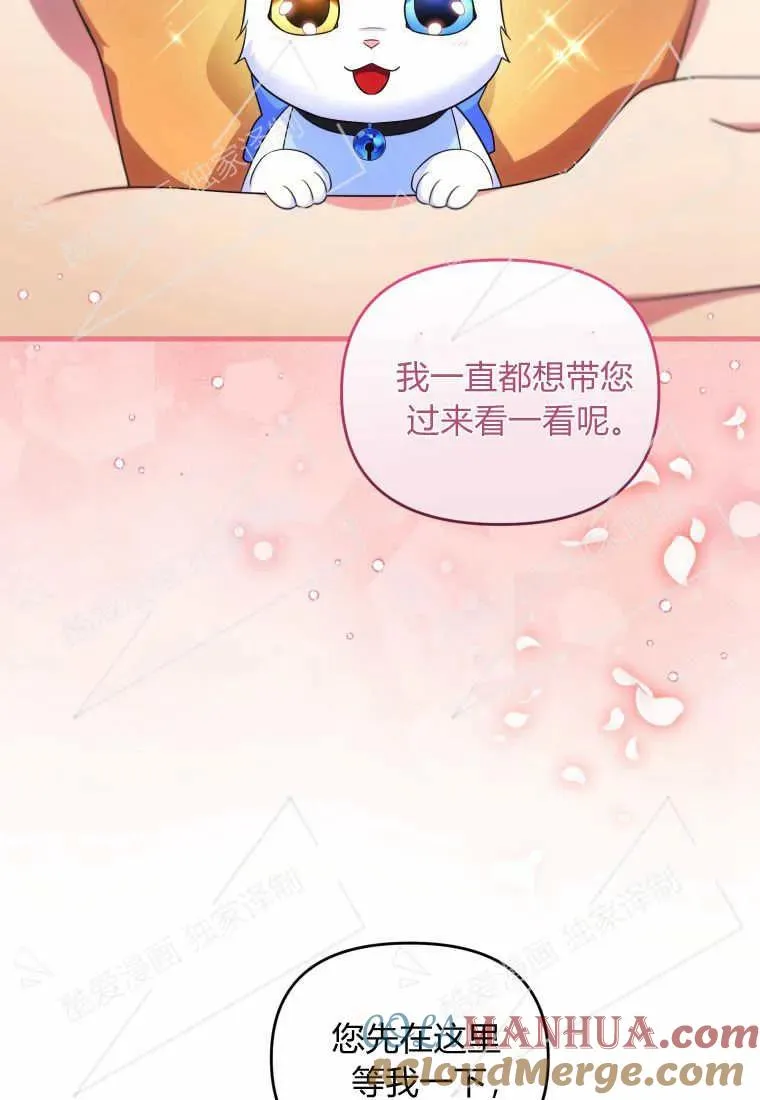 成为苏尔坦珍爱的猫咪在线观看漫画,第07话4图