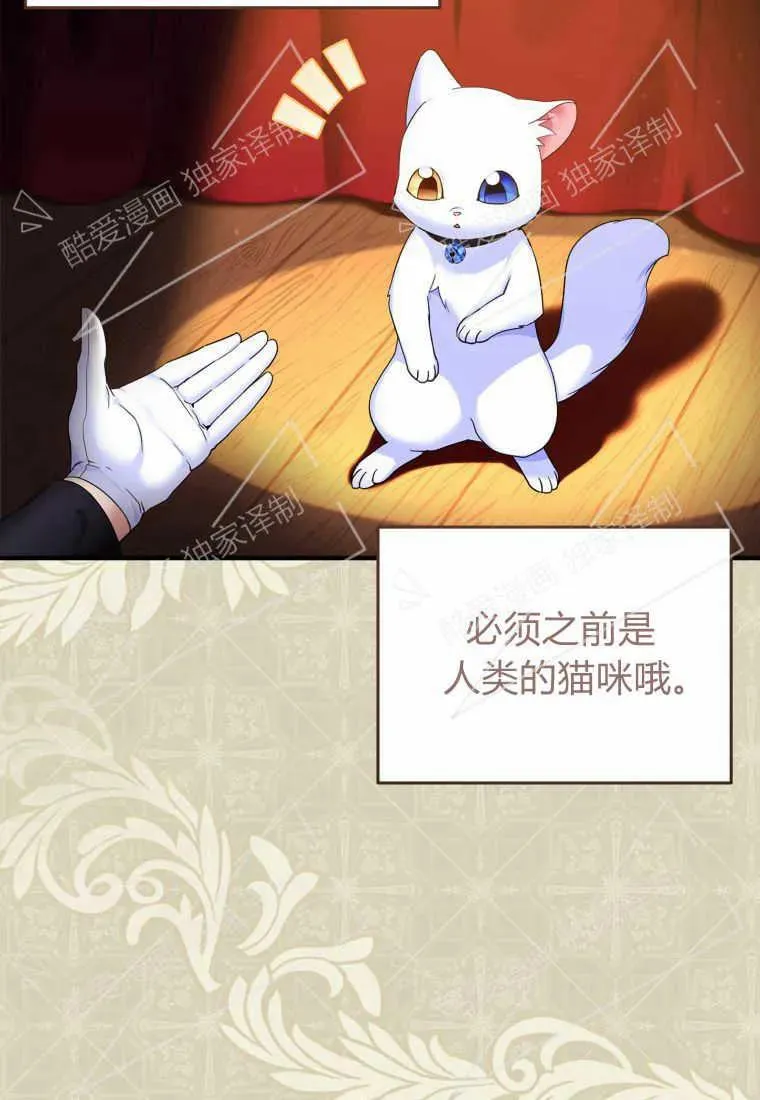 成为苏尔坦珍爱的猫咪在线观看漫画,第04话4图