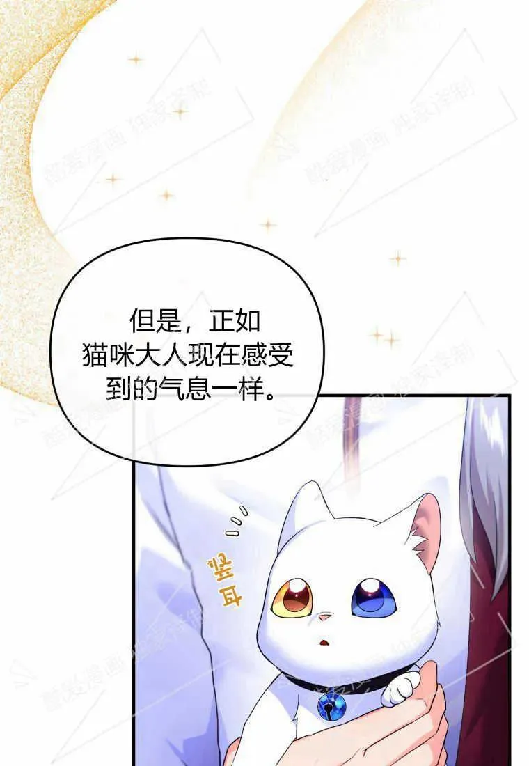 成为苏尔坦珍爱的猫咪在线观看漫画,第04话1图