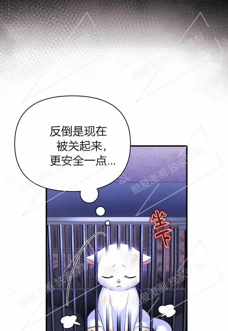 成为苏尔坦珍爱的猫咪漫画免费观看漫画,第02话2图