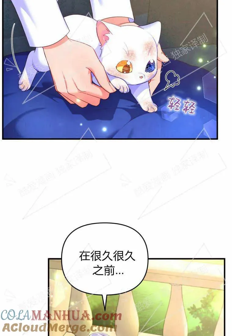 成为苏尔坦珍爱的猫咪在线观看漫画,第03话1图