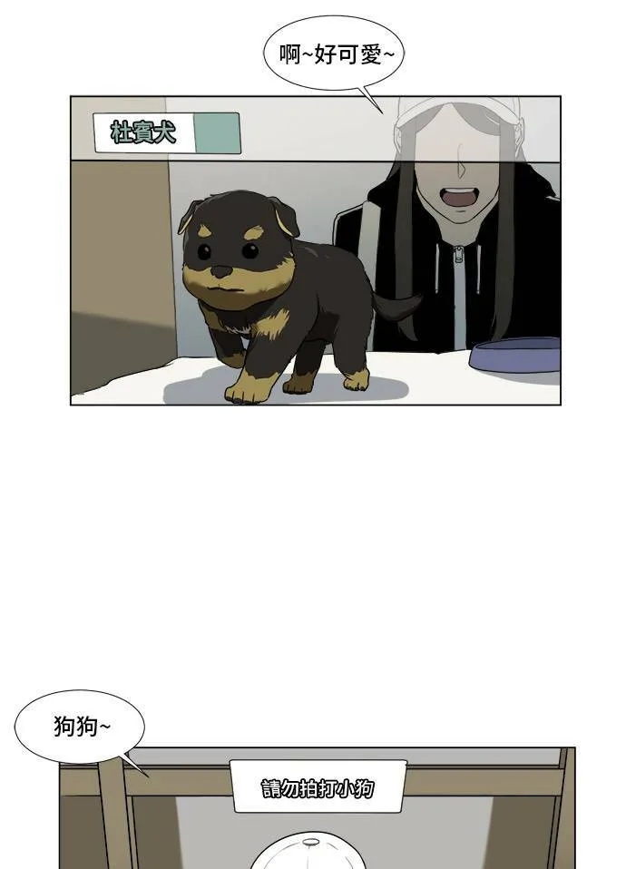 盗脸人生漫画乔泰熙免费阅读漫画,崔宝润 93图