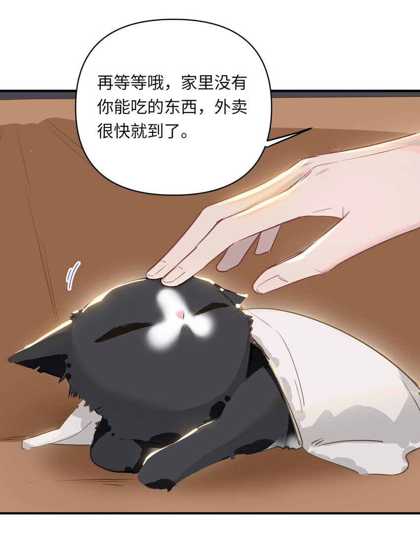 我有病啊漫画全集免费观看36话漫画,004 捡到猫了！2图