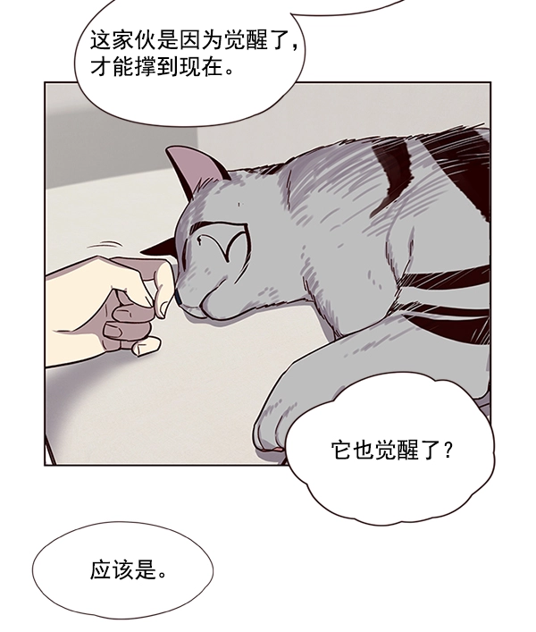 觉醒吧铲屎官图漫画,第6话4图