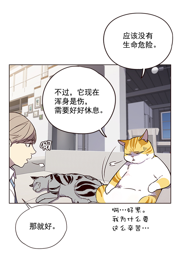 觉醒吧铲屎官图漫画,第6话2图