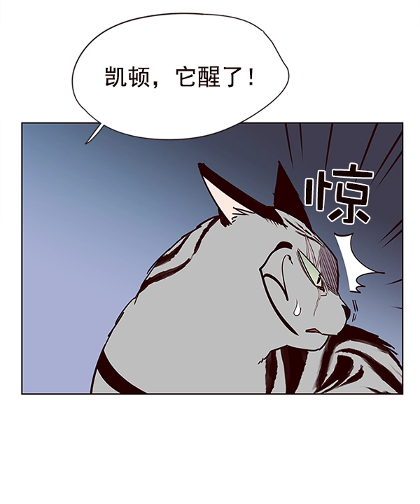 觉醒吧铲屎官图漫画,第10话5图