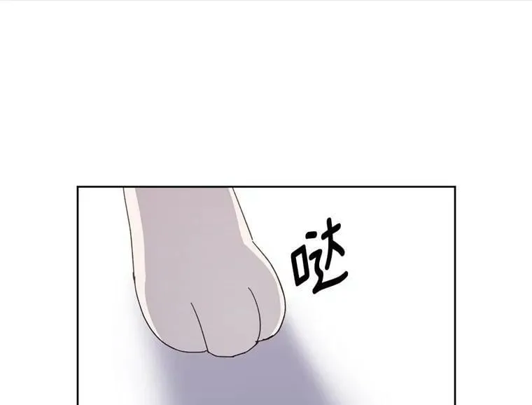 琪拉的美男图鉴免费版下拉式漫画,1.被神选中的少女3图