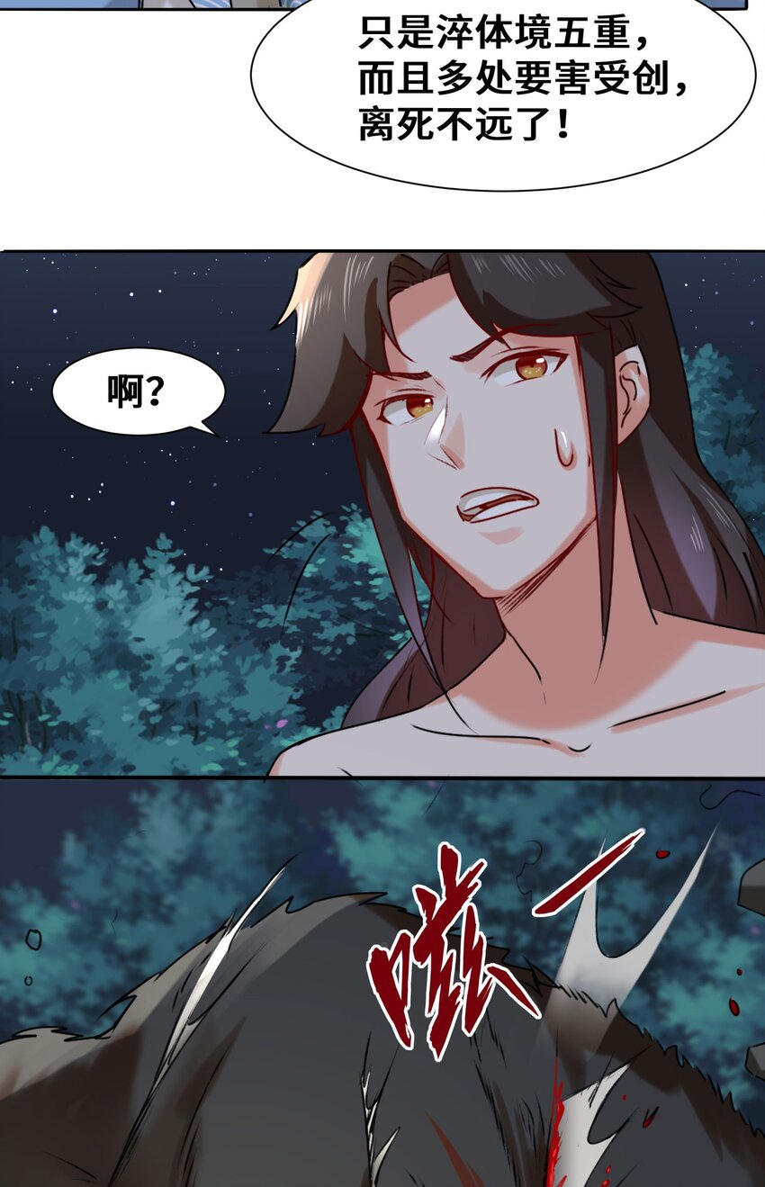 无尽吞噬小说免费阅读漫画,5-芊灵希2图