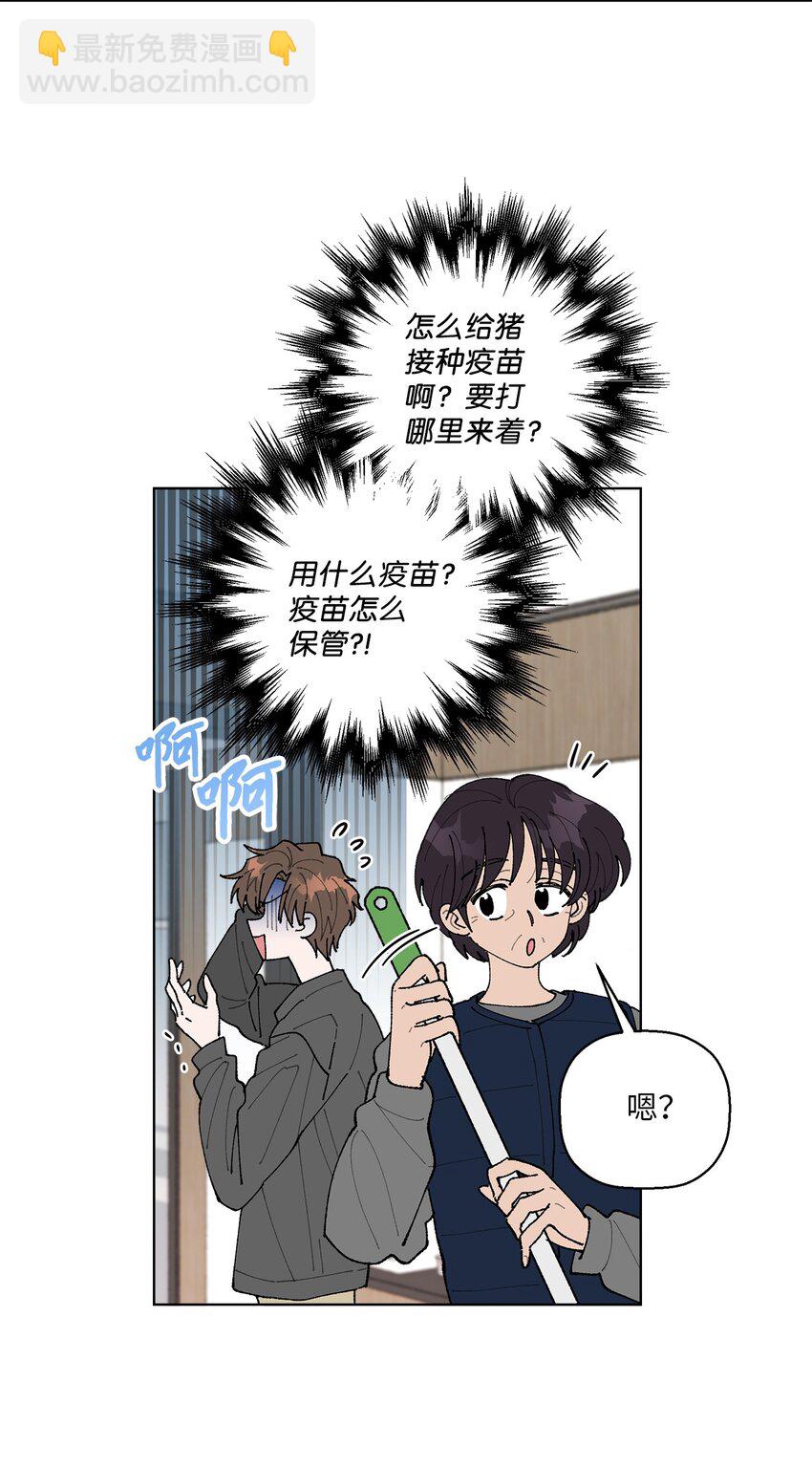 偶然的田园日记片段漫画,05 怎么给猪打疫苗啊？2图