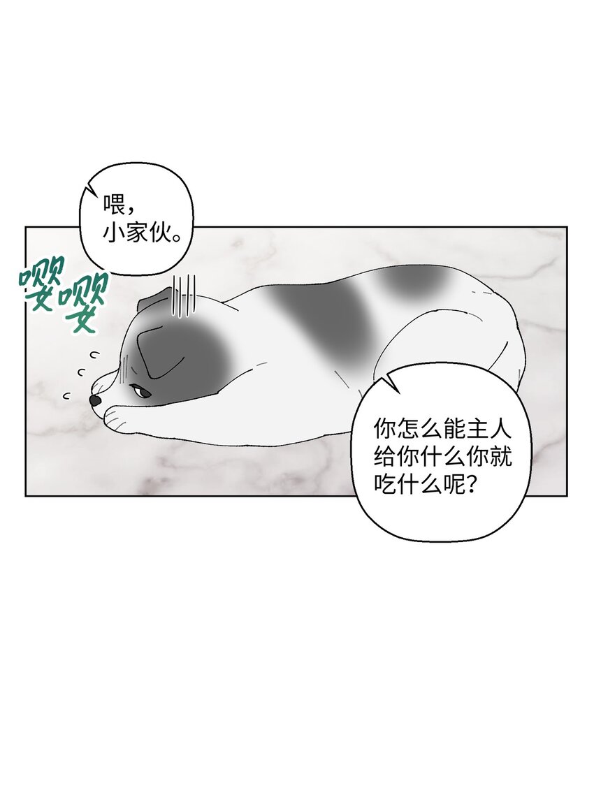 偶然的田园日记全集漫画,09 夜路5图