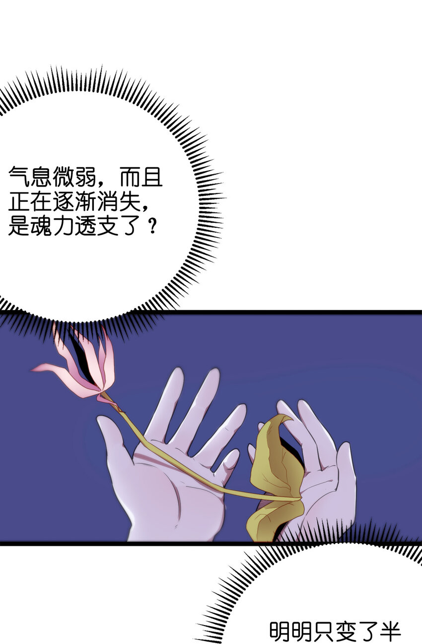 本圣女摊牌了漫画免费阅读漫画,005 七星泰斗撼月狐1图