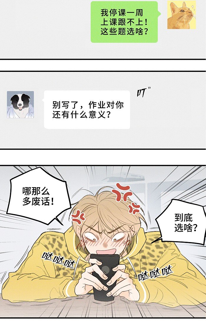 盐友漫画在线观看全集免费漫画,03 凭实力垫底2图