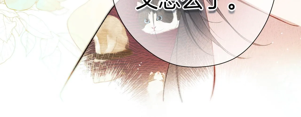 错撩全集免费观看漫画,第3话 分手4图