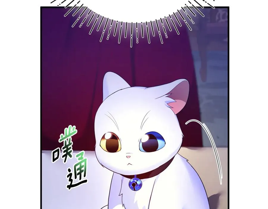 第7话 你是我唯一的猫0