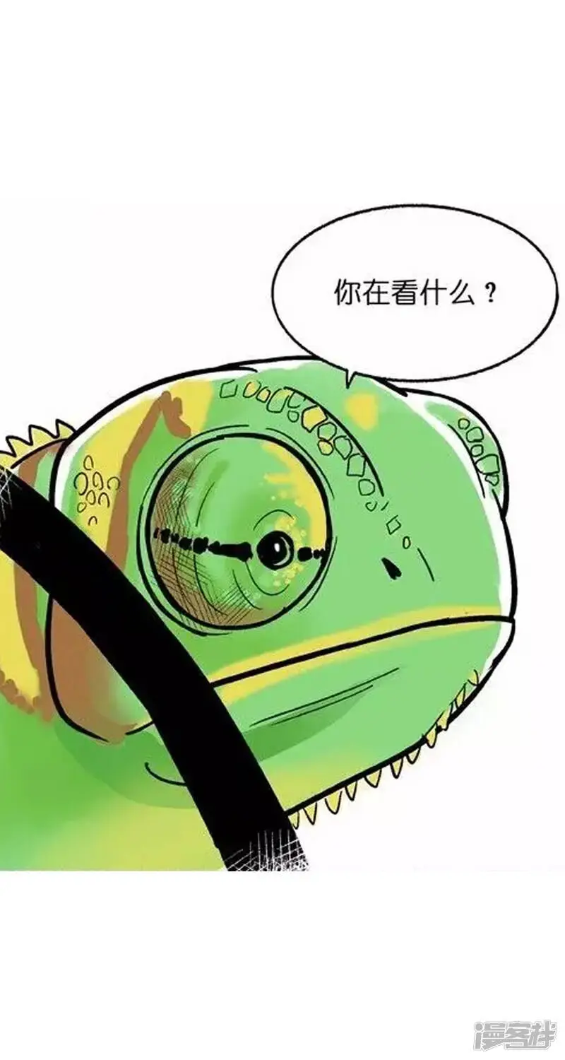 快把动物放进冰箱漫画全集漫画,002变色1图