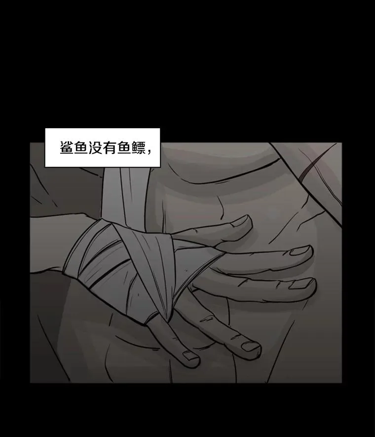 鲨鱼为什么不吃海豚漫画,0.鲨鱼1图