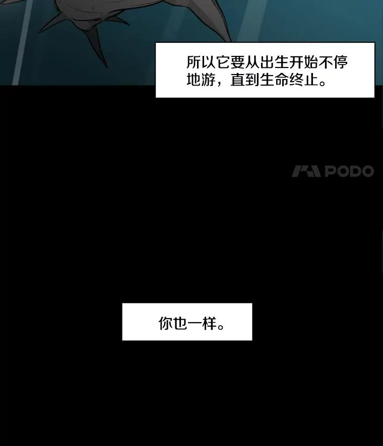 鲨鱼为什么不吃海豚漫画,0.鲨鱼3图