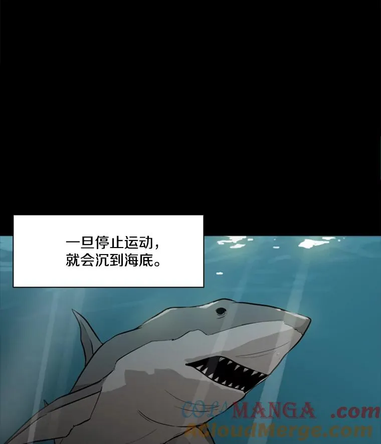 鲨鱼为什么不吃海豚漫画,0.鲨鱼2图