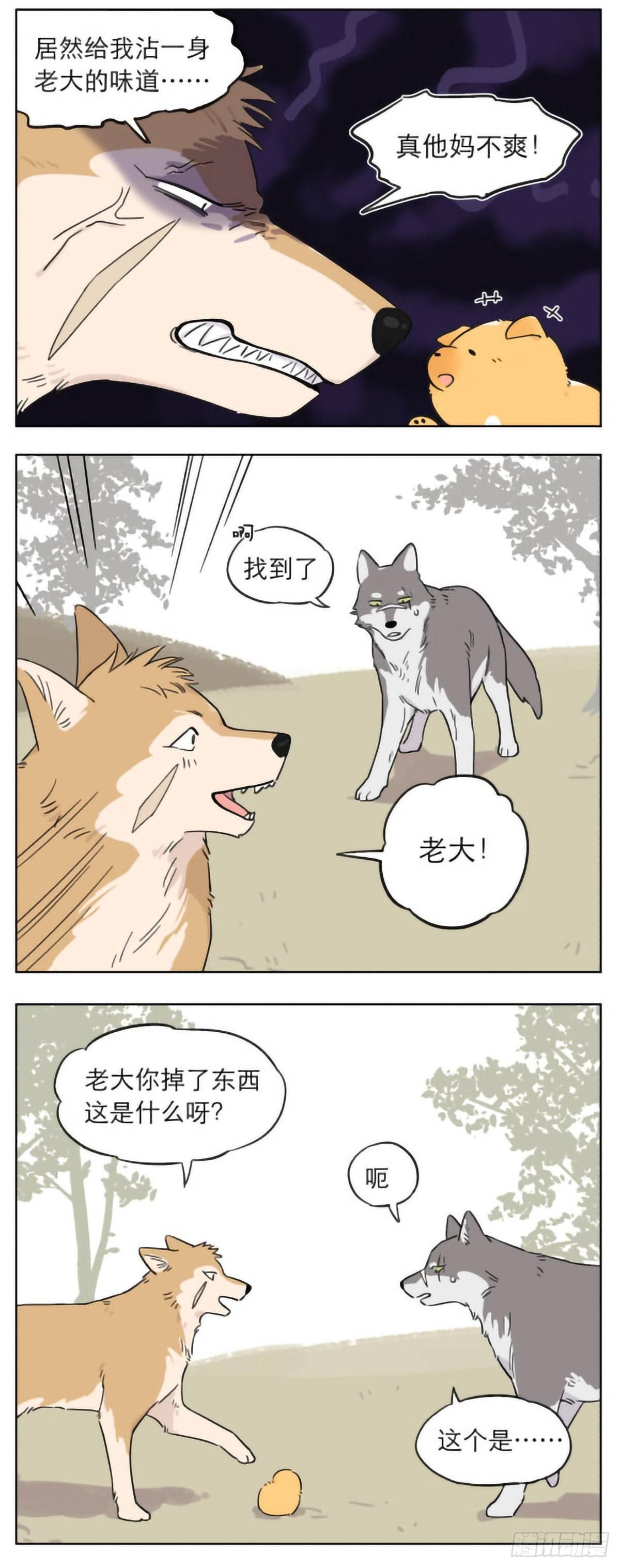 捡了东西的狼完整版漫画,狼群里的小弟们 ​​​1图