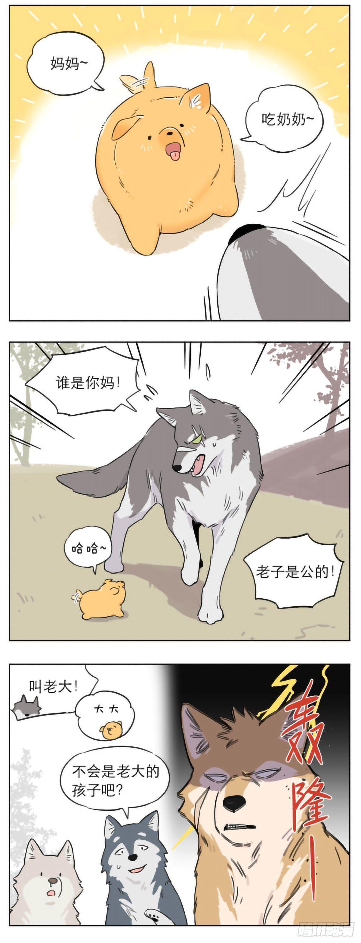 捡了东西的狼完整版漫画,狼群里的小弟们 ​​​2图