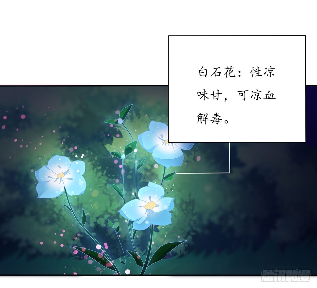 至尊瞳术师绝世大小姐百年漫画漫画,第八话 到底为什么追我？3图