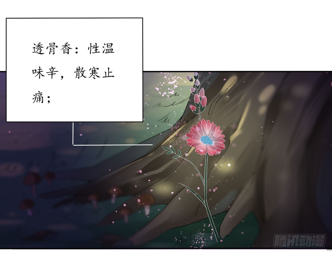 至尊瞳术师绝世大小姐百年漫画漫画,第八话 到底为什么追我？4图