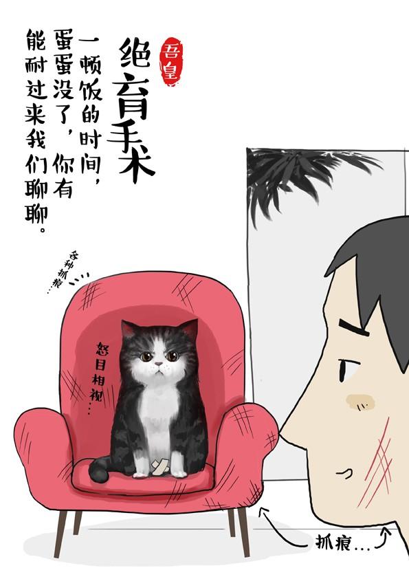 第2话 傲娇是猫的原则1