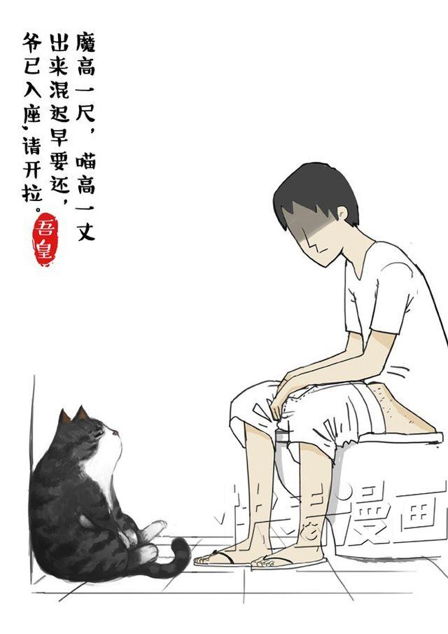 吾皇巴扎黑高清壁纸漫画,第2话 傲娇是猫的原则3图