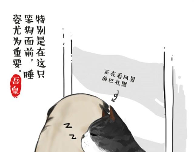 吾皇巴扎黑漫画,第6话 喵的睡姿就是如此奔放3图