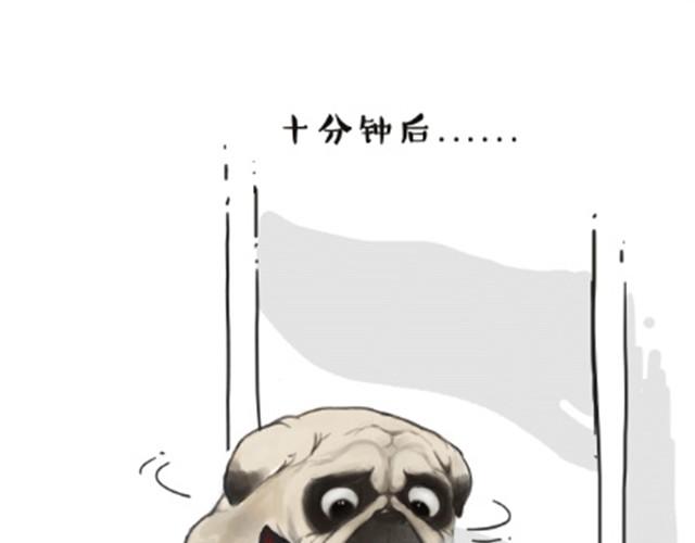 吾皇巴扎黑漫画,第6话 喵的睡姿就是如此奔放5图