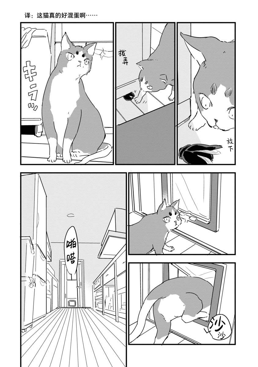 果然我讨厌猫啊漫画,第1话4图