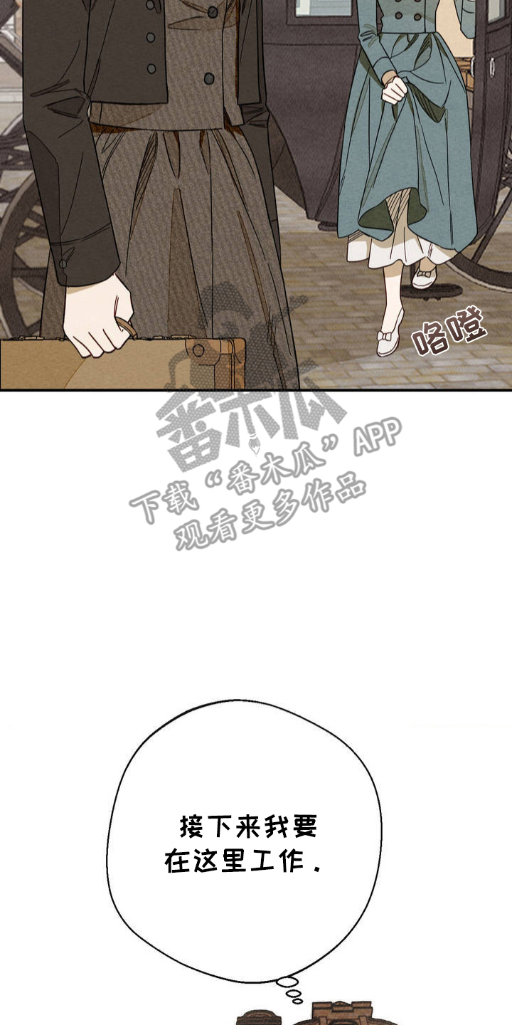 葡萄园里的小昆虫漫画,第3话4图