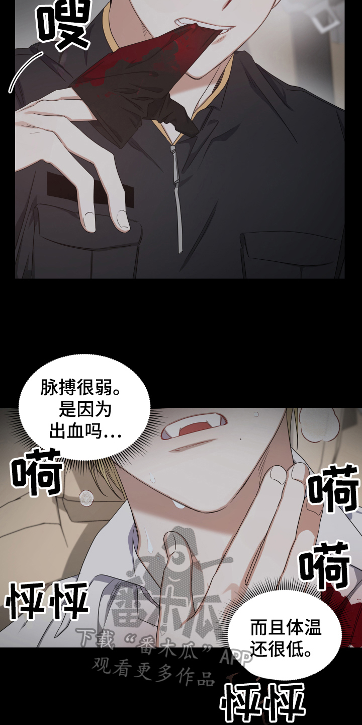 狼人与血族女王漫画,第10话5图