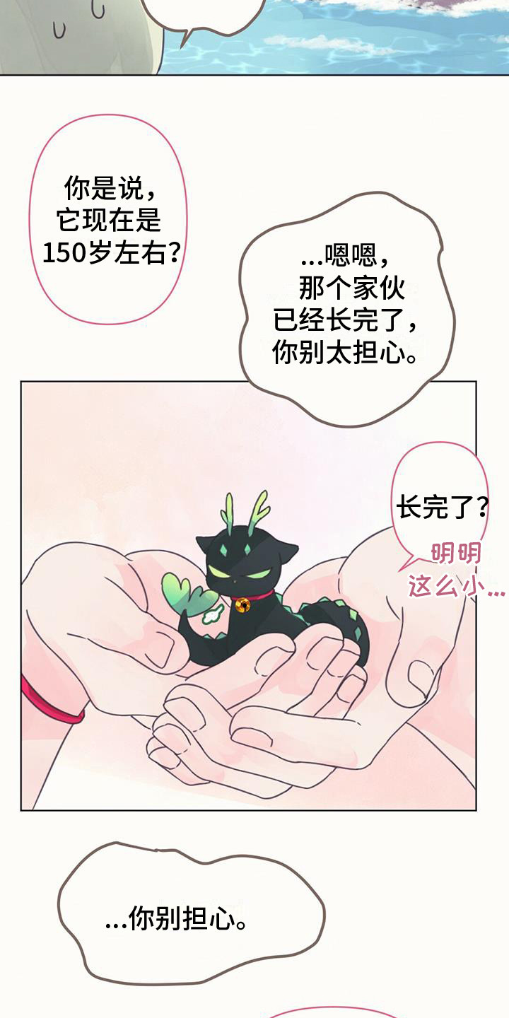 兔兔的故事睡前漫画,第5话5图