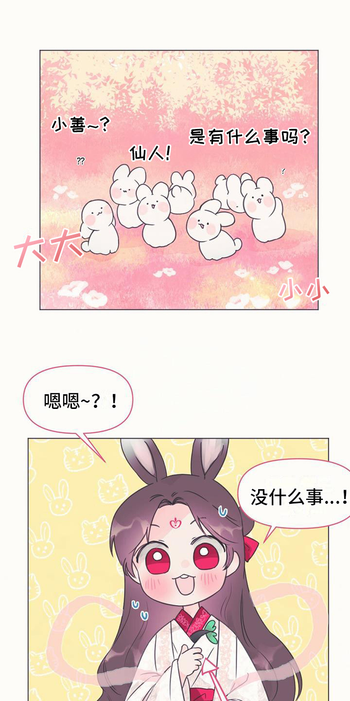 兔兔的小龙宝漫画,第1话1图